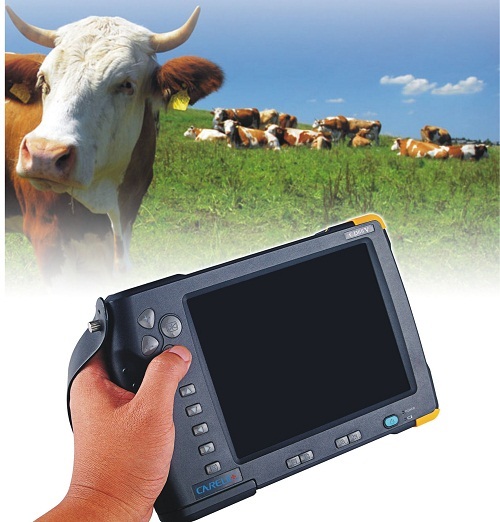 Cattle Cow Sheep Ultrasound Scanner Cd66v