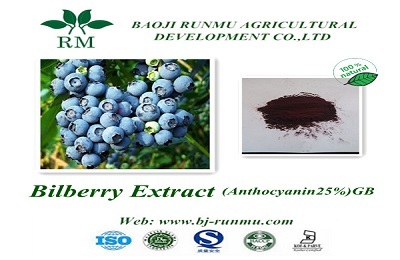 China Bilberry Extract Anthocyanidin 25