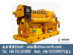 China Mtu 1000kw Natural Gas Generator