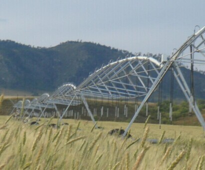 China New Automatic Farm Center Pivot Irrigation System For Sale