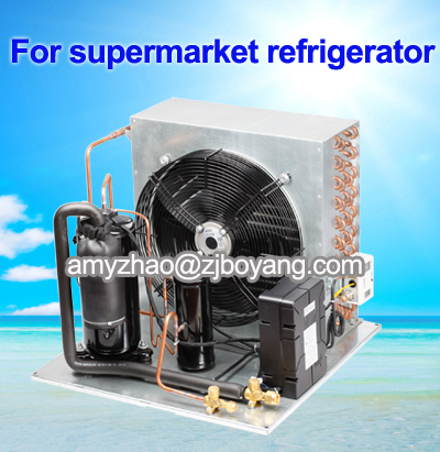 Condenser For Cold Room With Condensing Unit