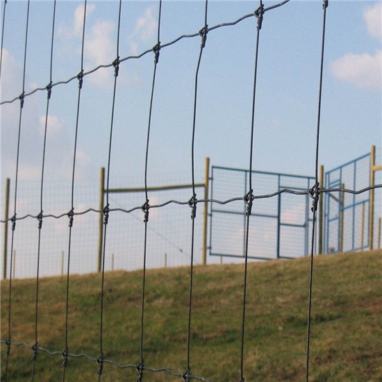 Cow Fence Wire Mesh Cheap Cattle
