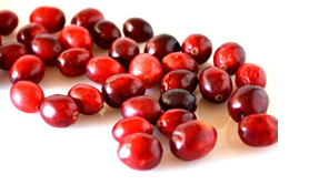 Cranberry Extract Proanthocyandin Anthocyanidin