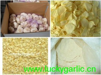 Dehydrated Garlic Granules Flakes Powder