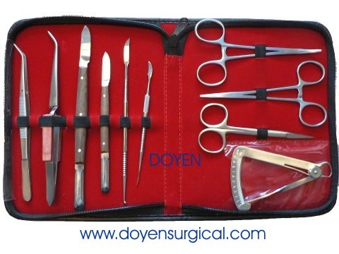Dental Instruments Set