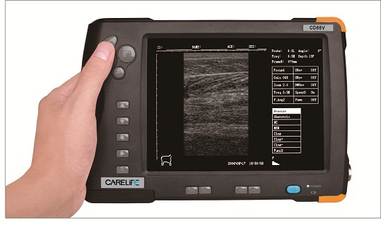 Digital And Portable Vet Ultrasound Cd66v