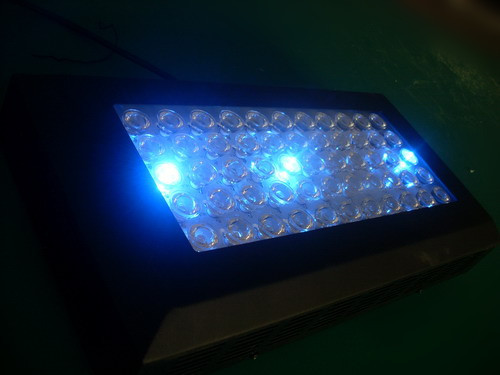 Ebay Worldwide Standard Led Aquarium Light Allocated Lights 1200mm Dimmable