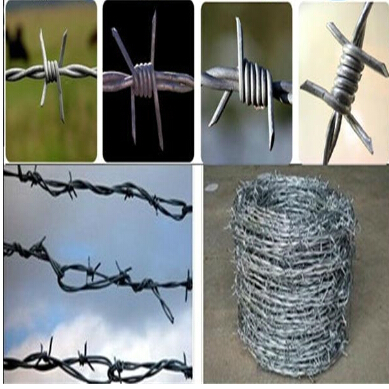 Electro Galvanized Hot Dipped Pvc Coated Barbed Wire