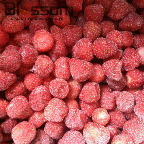 Export Frozen Strawberry Wholesale Price