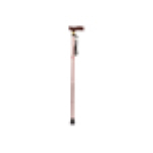 Extendable Plastic Handled Walking Stick With Engraved Pattern