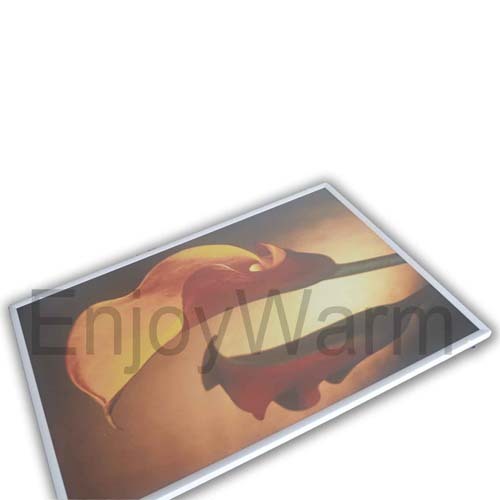 Far Infrared Carbon Crystal Heating Panel Sc T80120