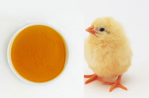 Feed Grade Lutein For Poultry And Fish