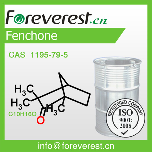Fenchone Cas 1195 79 5 Foreverest