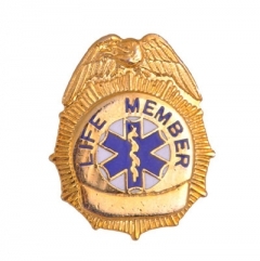 Fire And Med Dp Badge