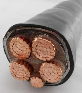 Flame Retardant Copper Conductor Xlpe Insulation Pvc Sheathed Steel Wire Sc