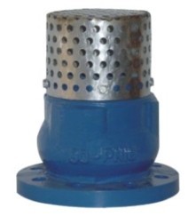 Foot Valve Flanged End