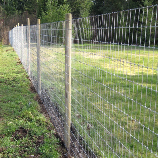 Galvanized 1 5m 8m Grassland Field Cattle Mesh Fence For Sheep And Cow