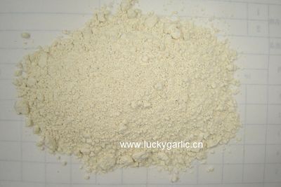 Garlic Powder Dehydrated Dry