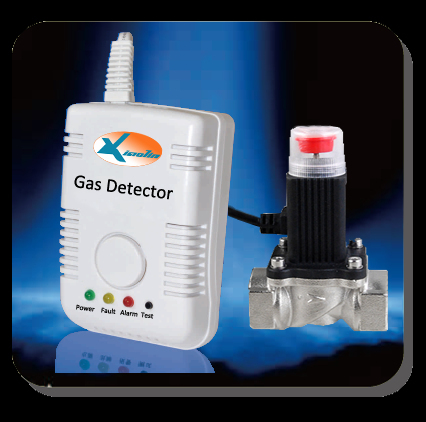 Gas Detector With Shut Off Valve