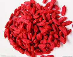Goji Berries Products Berry