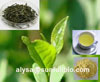 Green Tea Extract Egcg Catechins Polyphenols