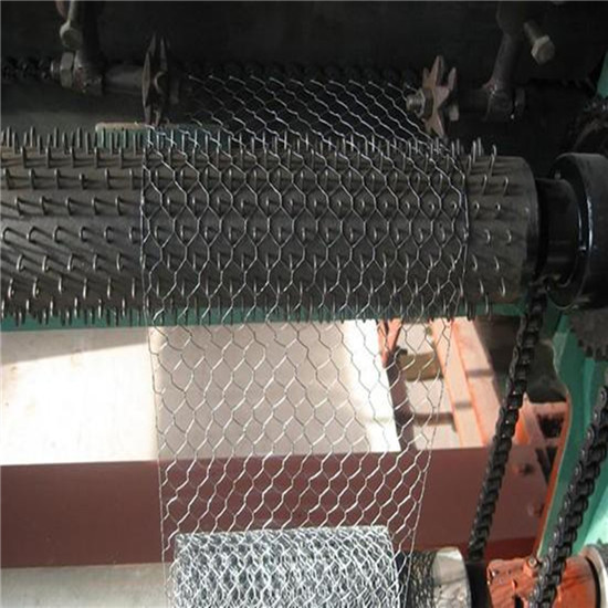 Hexagonal Poultry Wire Netting Factory Price