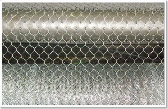 Hexagonal Wire Mesh Galvanized Pvc Coaetd Stainless Steel