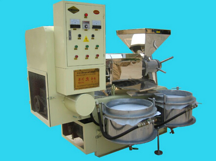 Hot And Cold Screw Oil Press