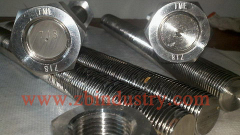 Inconel718 Stud Bolt With Nut Washer