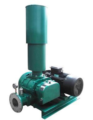 Industrial Aeration Roots Pump For Packaging