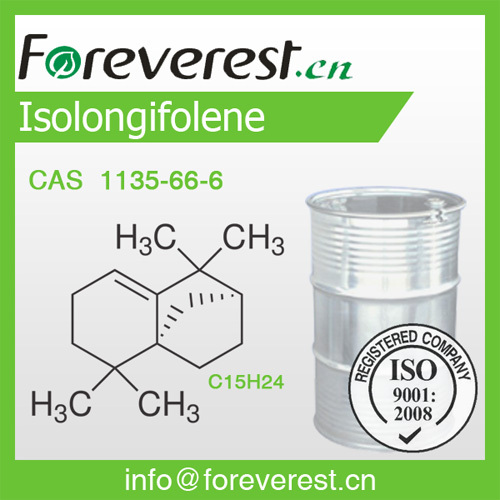 Isolongifolenone Foreverest