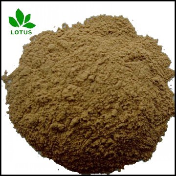 Large Supply Micronized Powder Of Seabird Guano Manure For Organic Fertiliz