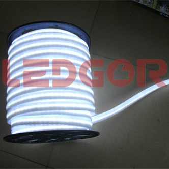 Led Neon Flex Rope White Color 220v 110v 24v 12v