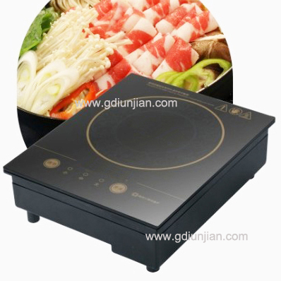 Low Voltage Induction Cooker