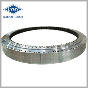 Lyhy Double Row Ball Slewing Ring Bearing