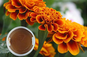 Marigold Oleoresin For Plant Extract