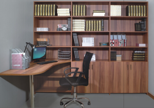 Modern Style Office Bookcase