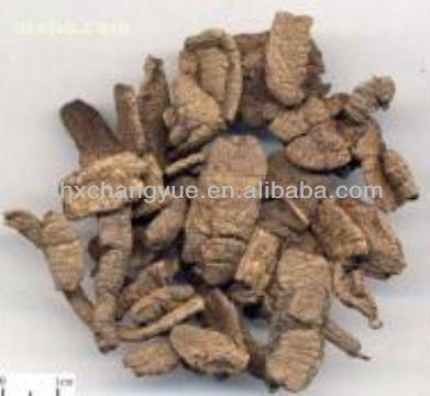 Morinda Officinalis Root Extract Bacopin