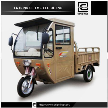 New Design Pedal Bri R06 Good Cargo Tricycle Passenger