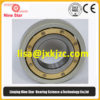 Nine Star 6218m C4vl0241 Insulated Bearings