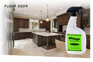Odoreze Eco Floor Odor Removal Spray Makes 64 Gallons