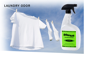Odoreze Eco Laundry Odor Eliminator Additive Makes 64 Gallons