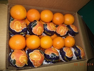 Orange Varieties Of Oranges 1 Valencia 2 Navel