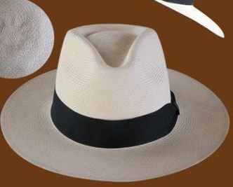 Panama Hats 1 Fedora