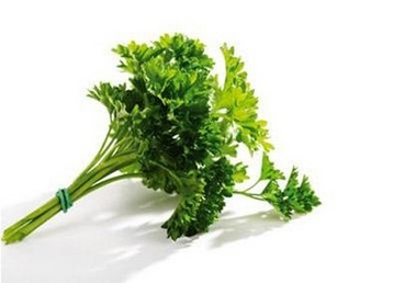 Parsley Seed Extract