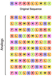 Peptide Libraries Synthesis Custom