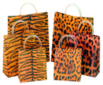 Plastic Gift Bag Shopping