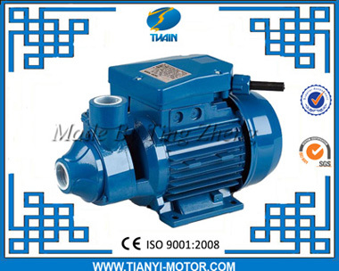 Pm Series Electric Peripheral Water Pump