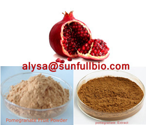 Pomegranate Extract Polyphenols Ellagic Acid