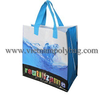 Pp Nonwoven Shopping Bag Made In Vietnam